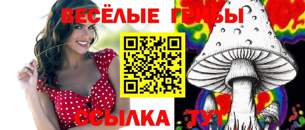 Псилоцибиновые грибы прущие грибы Светлоград